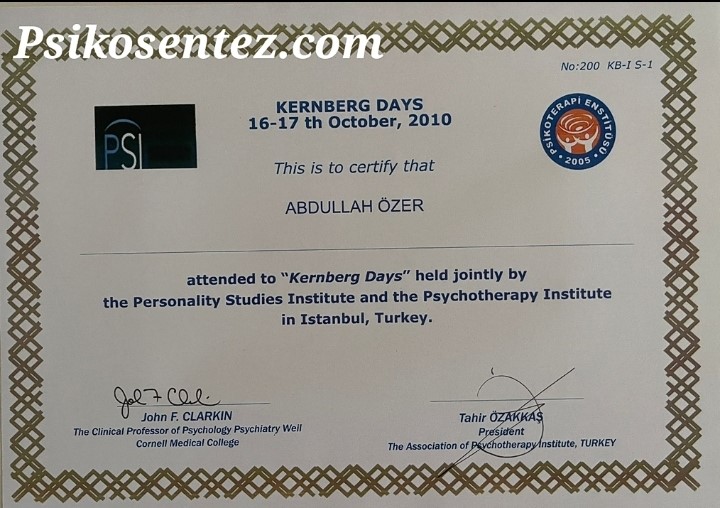 Kernberg - Aktarım Odaklı Terapi
