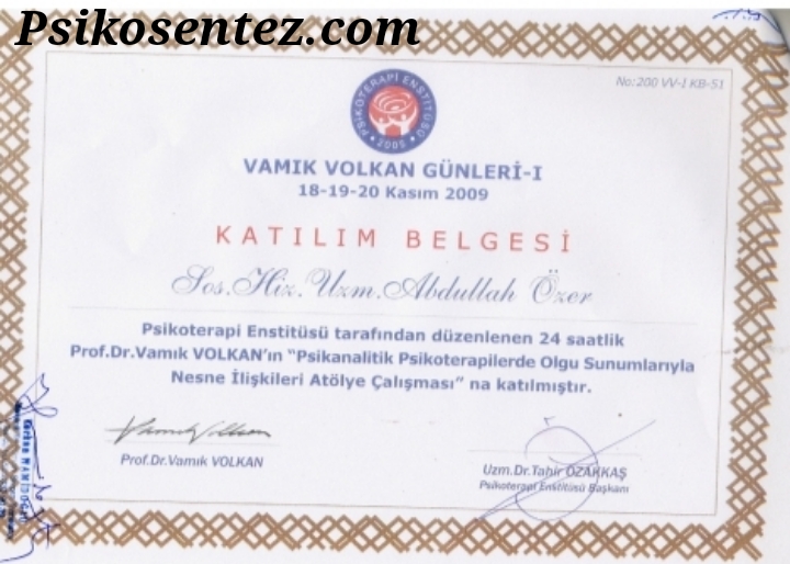 Vamık Volkan Günleri