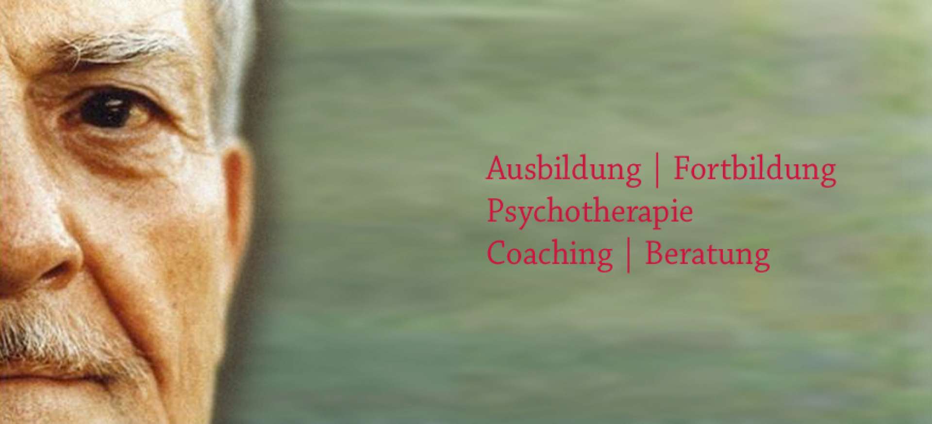 Milton Erickson T&uuml;rkiye